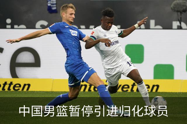 中国男篮暂停引进归化球员
