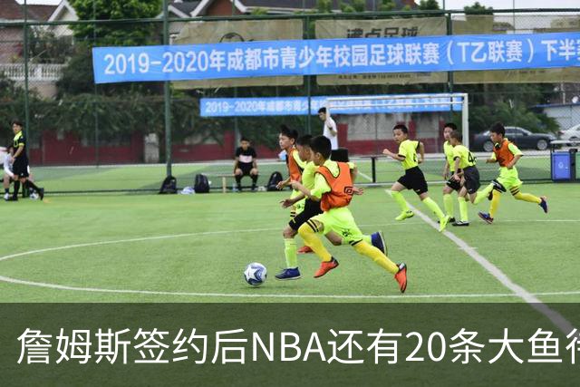 詹姆斯签约后NBA还有20条大鱼待捞：哈登杜伦领衔，超市刚开门